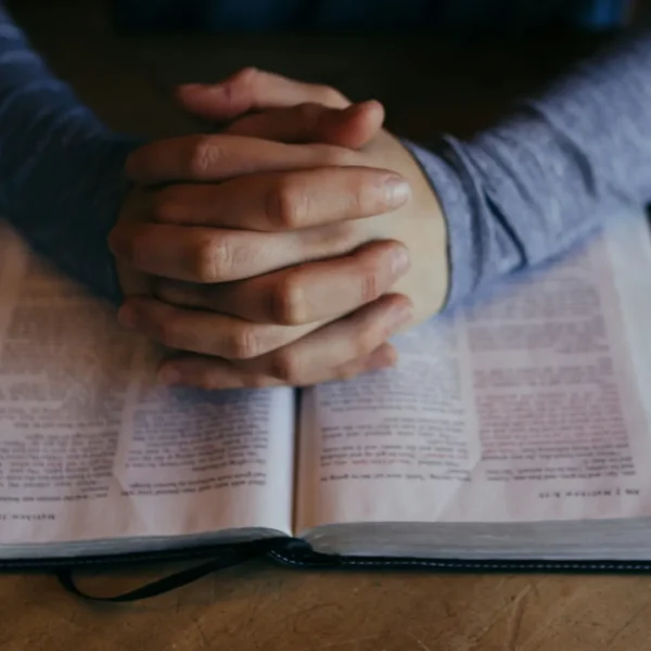 Hope Amidst the Chaos