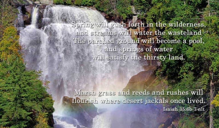 Streams in The Desert and a Table In The Wilderness