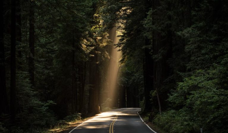 The Hope For True Israel