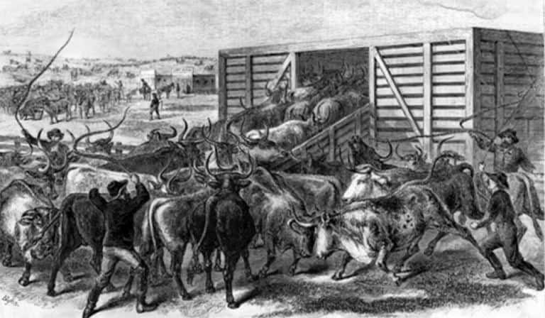 Can We Survive This Changing World?