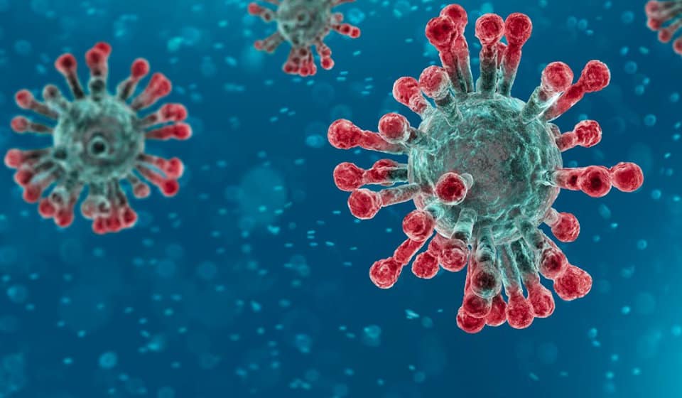 Fear! Our Greatest Enemy