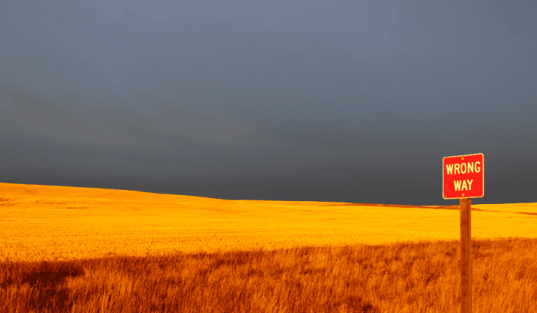 Everything Is Going Wrong Just Right