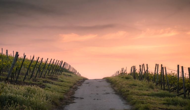 May God Bless Our Way