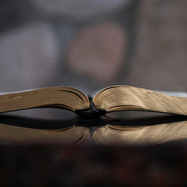 Did Jesus Not Say Anything About It?