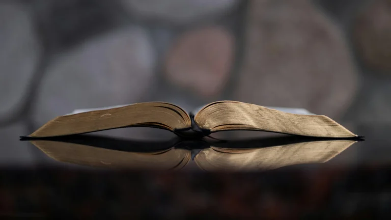 Did Jesus Not Say Anything About It?