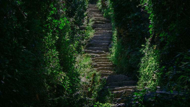 Plan ‘B’ Always Works