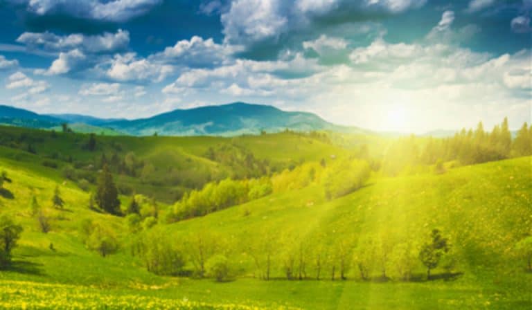 The Glorious Kingdom