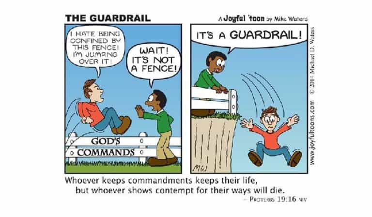 the guardrail