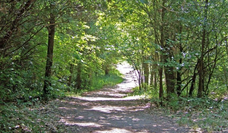 The Only Path to Travel